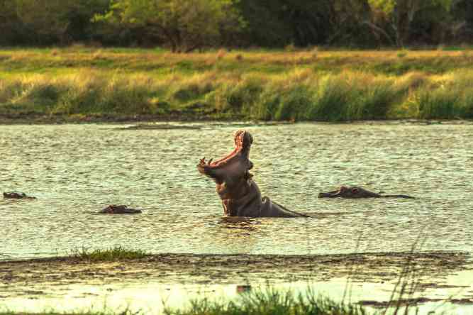 Isimangaliso Wetland Park