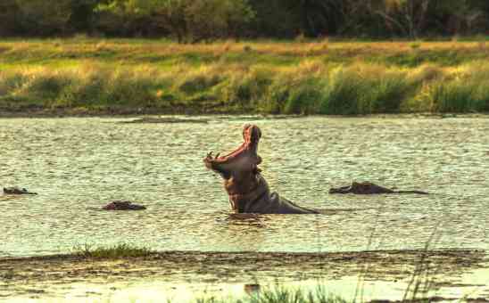 African cultures and their sacred waters: How African folklore can help vital waterways