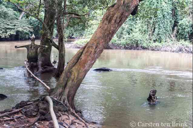 Osun Osogbo shrine sacred water (2)