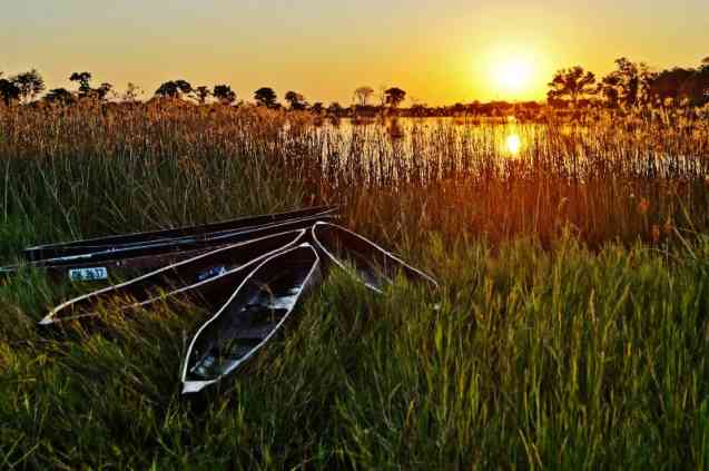 Okavango Delta safari in Botswana