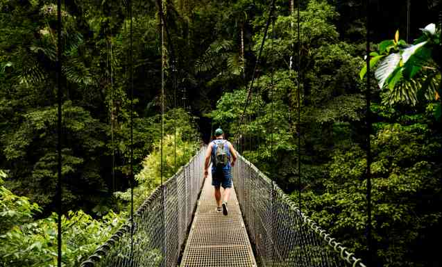 Nyungwe National Park Rwanda safari news