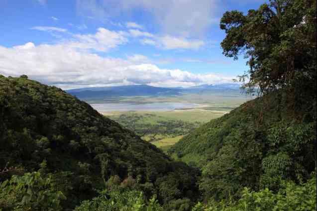 African safari news: Ngorongoro Crater