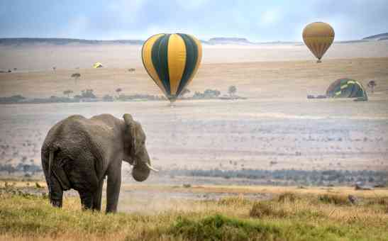 Big 5 Kenya: Where to Go and When on Big 5 Safari in Kenya
