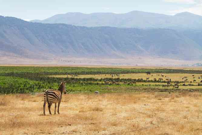 Ngorongoro Crater, Tanzania