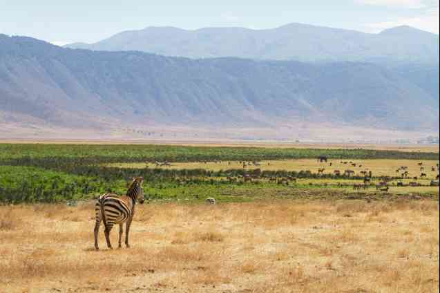 Ngorongoro Crater, Tanzania