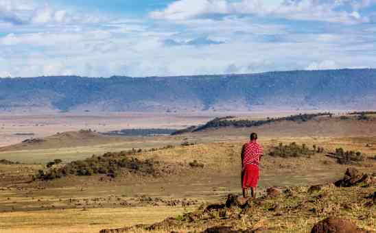 The Big 5 Animals and African Cultures