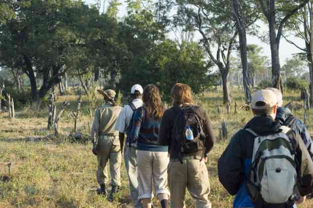 Walking safari Zambia