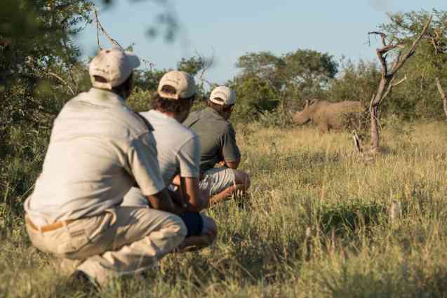 South Africa walking safaris