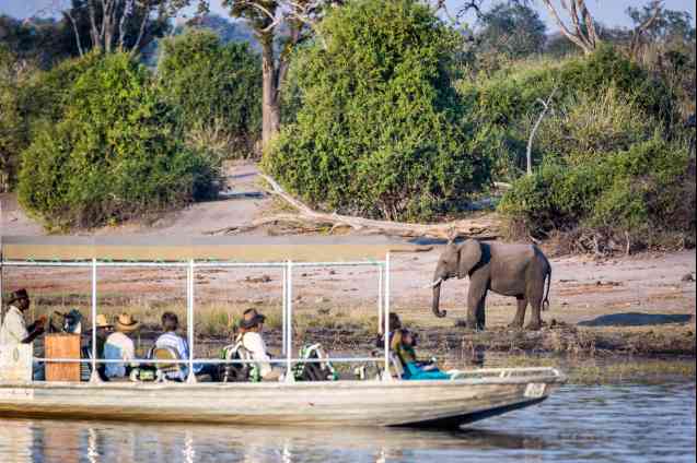 Chobe boat cruise