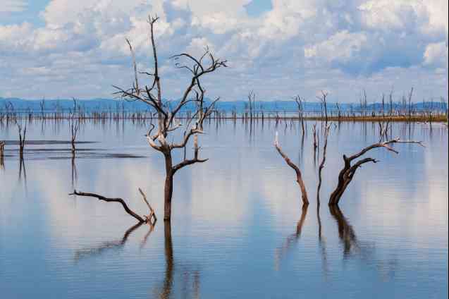 Lake Kariba safari