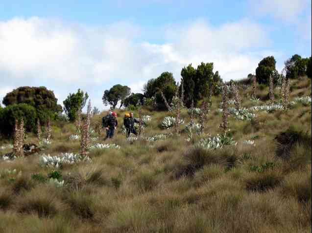 Mount Kenya hike
