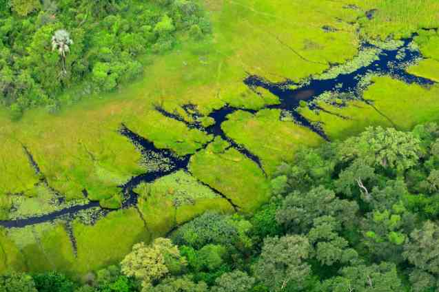 Okavango Delta, African adventures