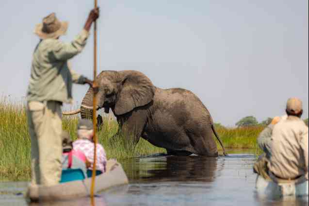 Mokoro safari adventure