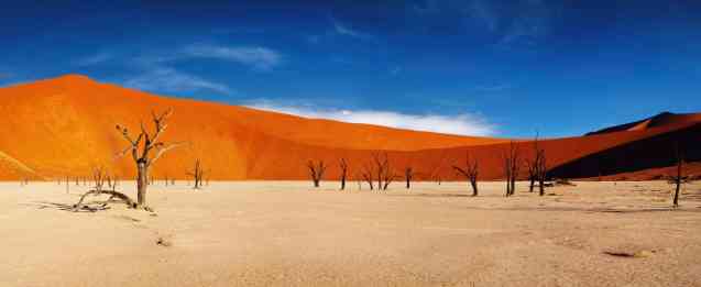 Dead trees of deadvlei Namibia