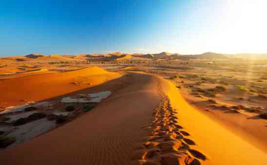 African Desert Safaris: Where and When to Go in Southern Africa