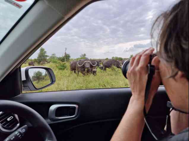 Wendy on Kruger Park safari