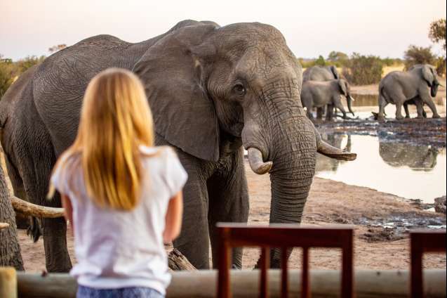 African safari travel with teens