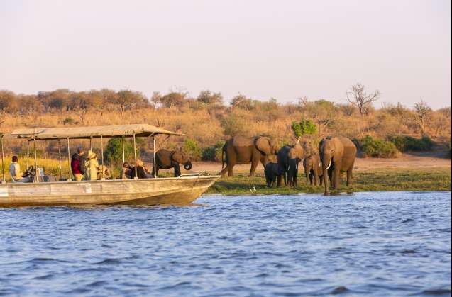 Chobe safari in Botswana