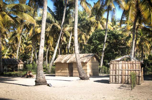 Tofo mozambique