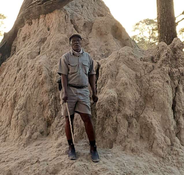 Okavango anthill, Botswana