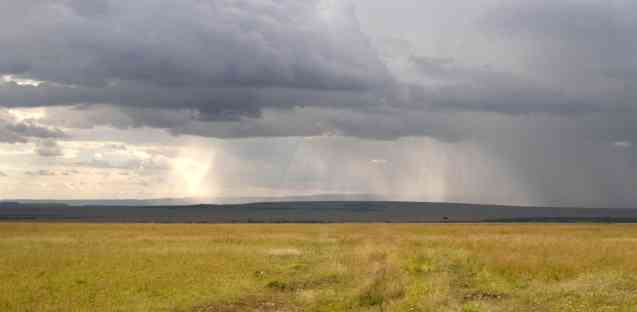 Masai Mara safari in Kenya