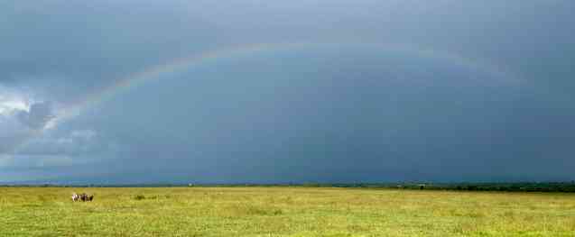 Ol Pejeta rhino Africa safaris