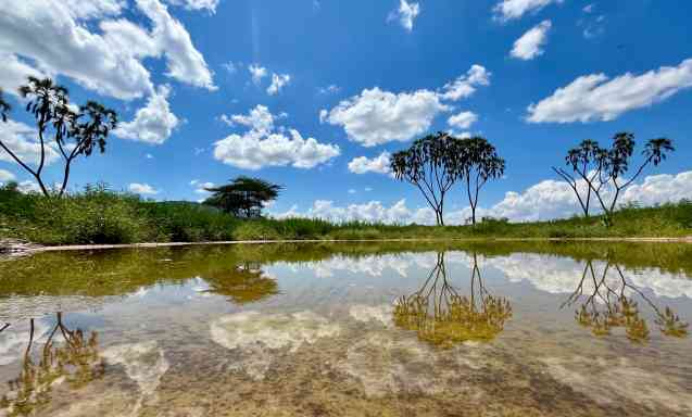 Samburu and Buffalo Springs-2
