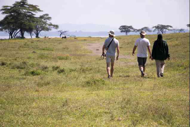 Cresent Island walk 1