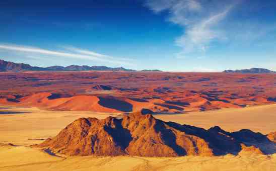 Namib Desert Animals and Where to See Them in Namibia