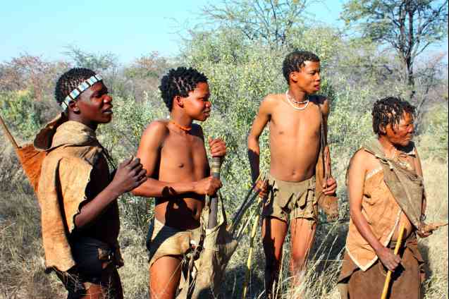 San bushman of the Kalahari