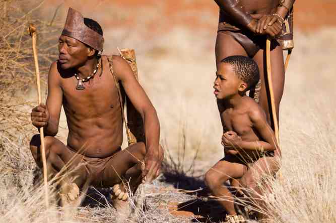 San bushmen of the Kalahari
