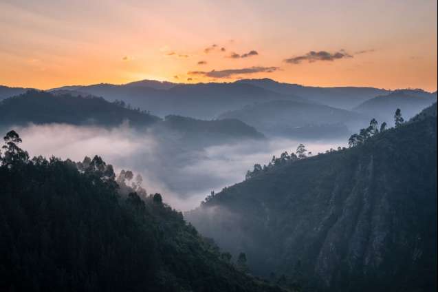 Bwindi National Park, Uganda
