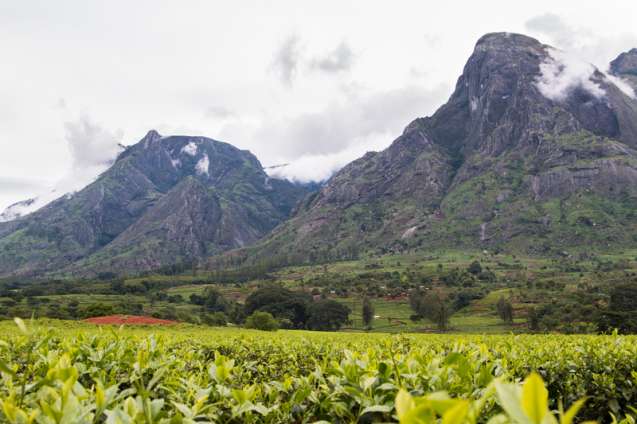 Mount Mulanje, Malawi