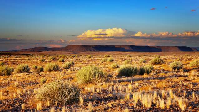 Kalahari desert Namibia
