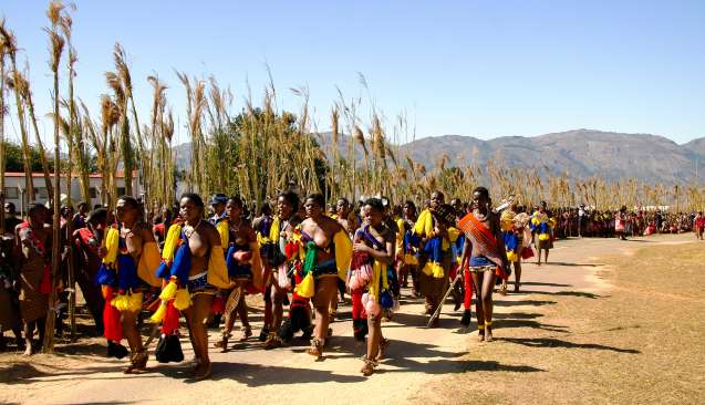 Reed dance Eswatini