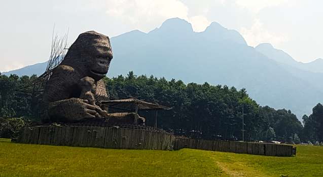 Rwanda gorilla naming