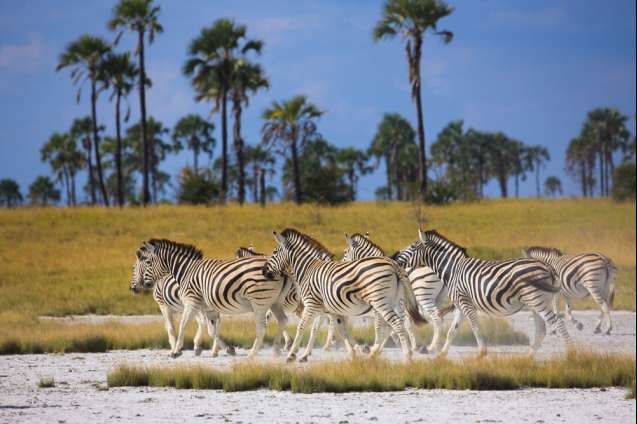 Nxai Pan, Botswana