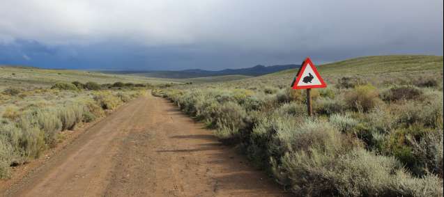 Sanbona is a riverine rabbit stronghold