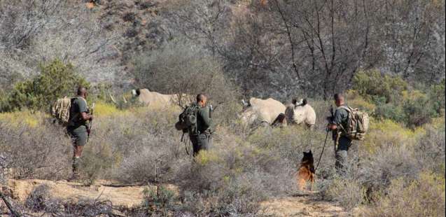 Anti poaching unit at Sanbona