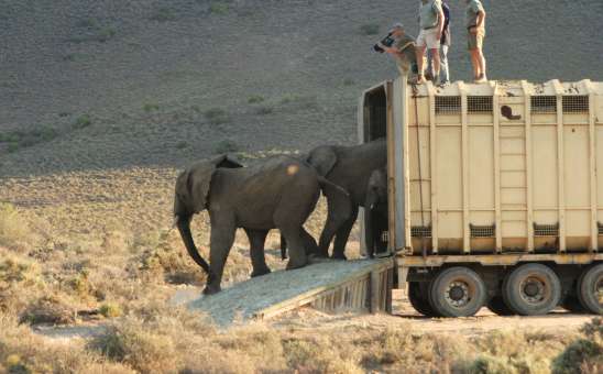 Sanbona Wildlife Reserve and Conservation