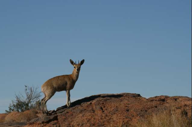 Augrabies falls national park-003