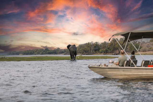Botswana safari updates