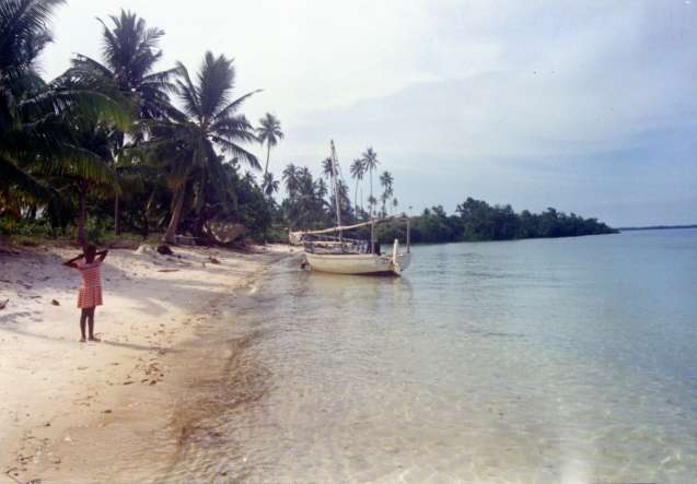 Mafia island, tanzania