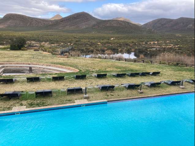 Aquila pool looking out over the reserve
