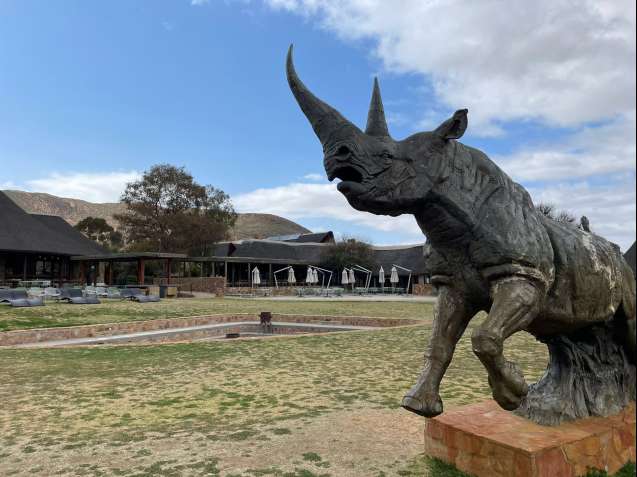 Aquila Private Nature Reserve, rhino sculpture