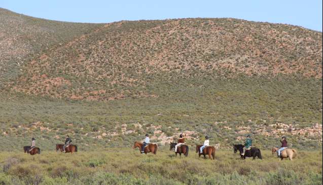 Horse back safari at Aquila 