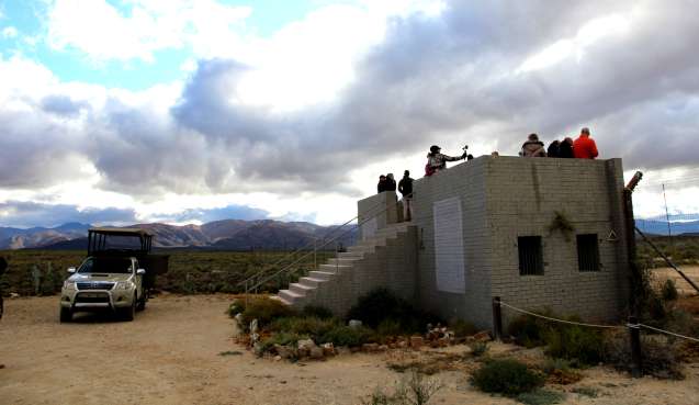 Cheetah run viewing platform at inverdoorn safari near cape town