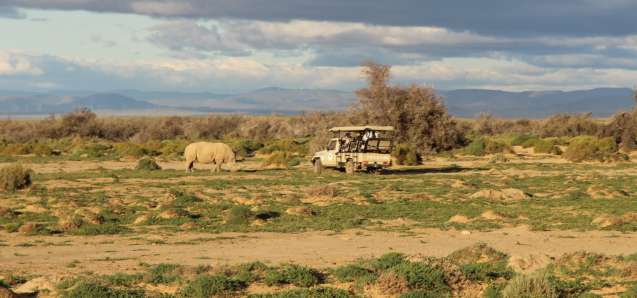 Inverdoorn rhino safari