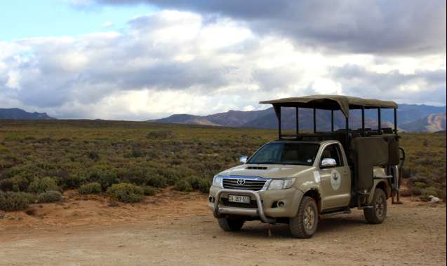 On safari at inverdoorn safari near cape town