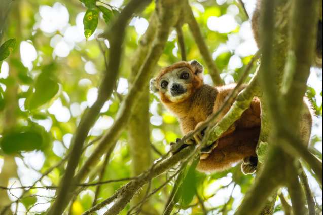 Madagascar unesco world heritage site